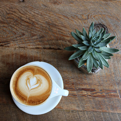 Café de shiratorizawa